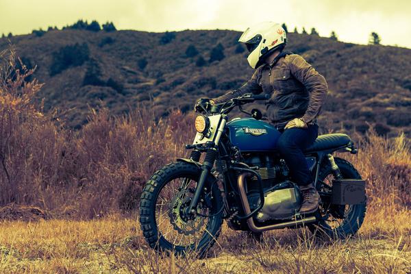 Triumph T100 Scrambler 8