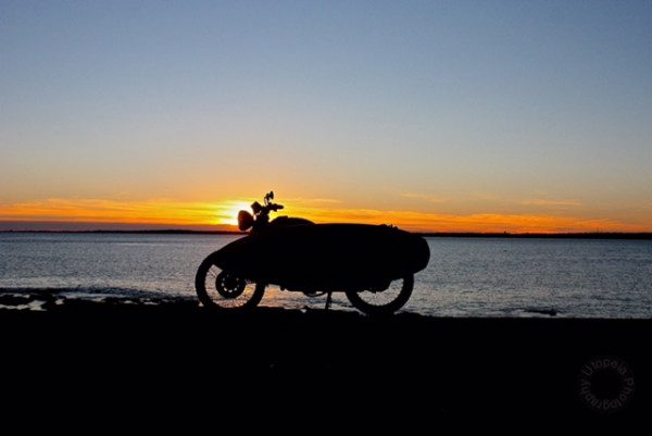 Honda Surf