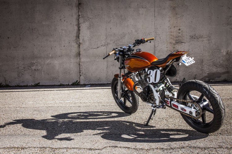 Honda CBF250 Tracker 4