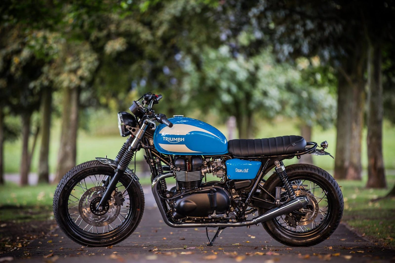 Triumph store t100 custom