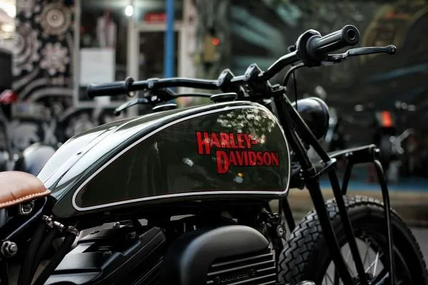 кастом-harley-sportster-6