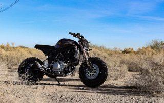 Suzuki SV650 Brat (3)
