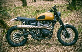 Triumph Mojave 900 3