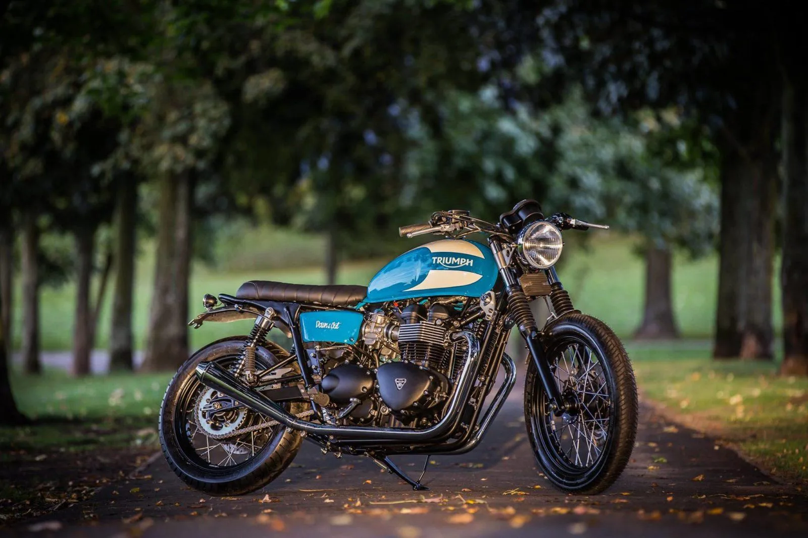 Triumph T100 Personnalisé 11